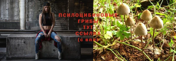 не бодяженный Алзамай