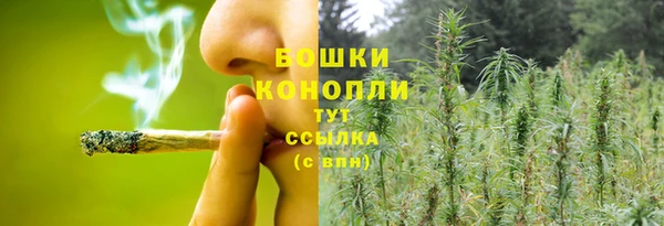 ПСИЛОЦИБИНОВЫЕ ГРИБЫ Няндома
