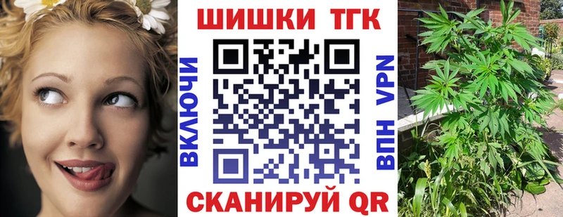 Бошки Шишки SATIVA & INDICA  где можно купить   Новая Ладога 